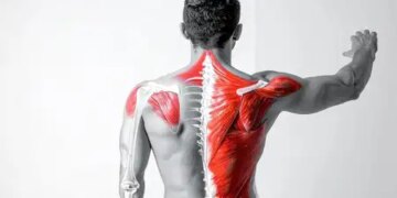 Work on computer for hours? You may have 'frozen shoulder', know the symptoms and prevention