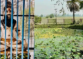 Mahabharata Circuit will increase tourism in UP... Budget of two crores approved for development work