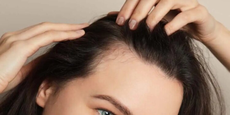 30 Days Hair Care Plan: झड़ते बालों से परेशान? अपनाएं न्यूट्रिशनिस्ट के बताए ये हेल्दी फूड, दिखेगा कमाल का फर्क