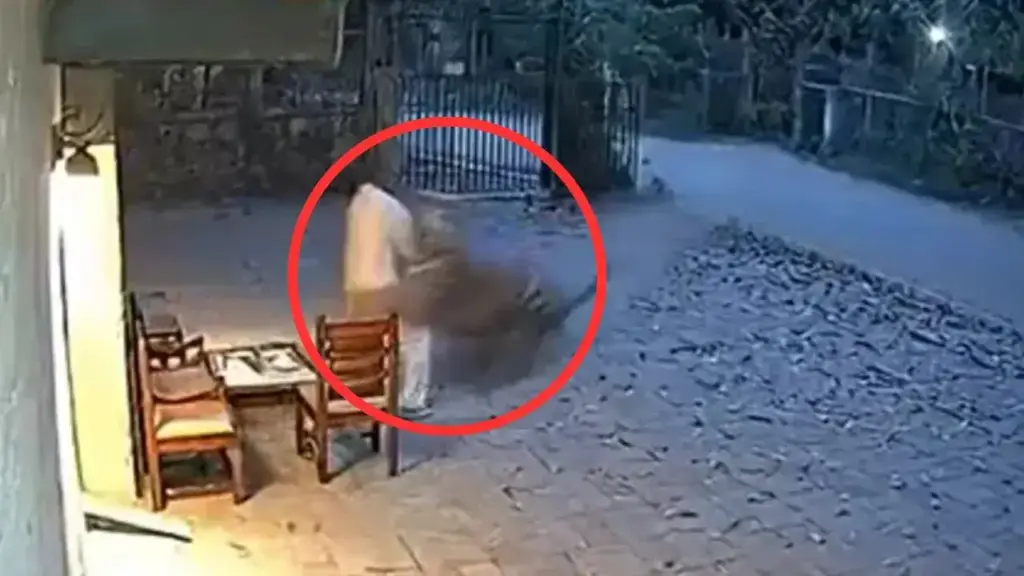 A tiger took away a man in front of his house, people were horrified after watching the video
