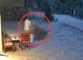 A tiger took away a man in front of his house, people were horrified after watching the video