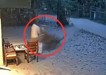 A tiger took away a man in front of his house, people were horrified after watching the video