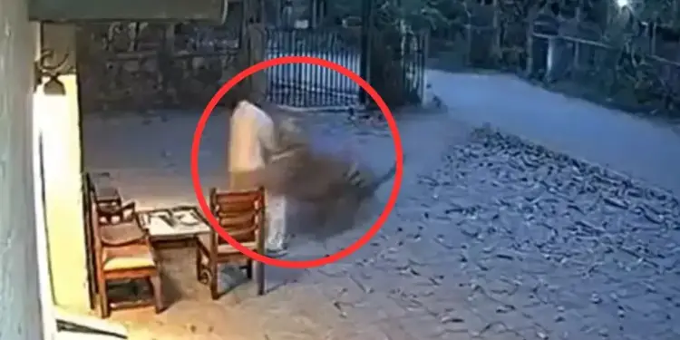 A tiger took away a man in front of his house, people were horrified after watching the video