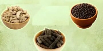 Ayurveda's precious formula 'Trikatu', not just one or two, it is a medicine for many diseases.