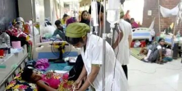 Bangladesh: Five people died due to dengue, death toll crosses 330