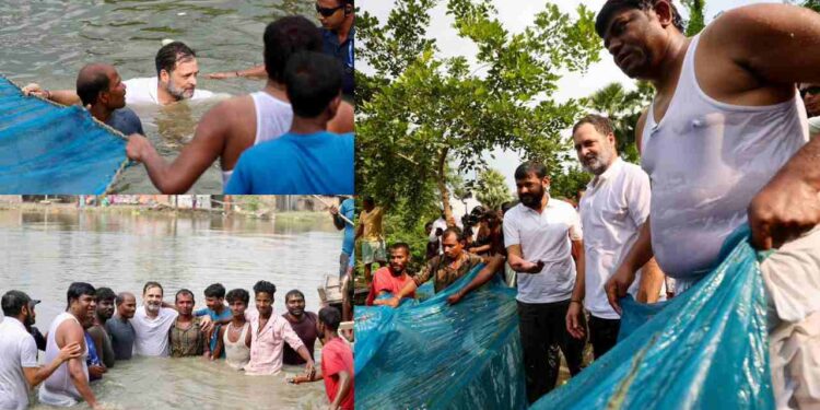 Bihar Election 2025 Rahul Gandhi Fishing | Rahul Gandhi in Begusarai | Rahul Gandhi Congress New avatar of Rahul Gandhi in Bihar Elections! Went into the pond and started catching fish with the fishermen. News Track in Hindi