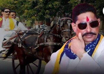 Bihar Viral Leader Anant Singh Crime History | Bihar Assembly Election 2025 About Anant Singh Anant Singh Politics: Anant Singh is the 'Don' of Mokama, who made him the center point of Bihar elections. News Track in Hindi