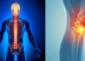Bone Health Alert: जवानी में ही कमजोर हो रही हैं हड्डियां? इन फूड्स को तुरंत करें डाइट से बाहर, वरना&nbsp;कैल्शियम की हो जाएगी भारी कमी ​​​​​​​