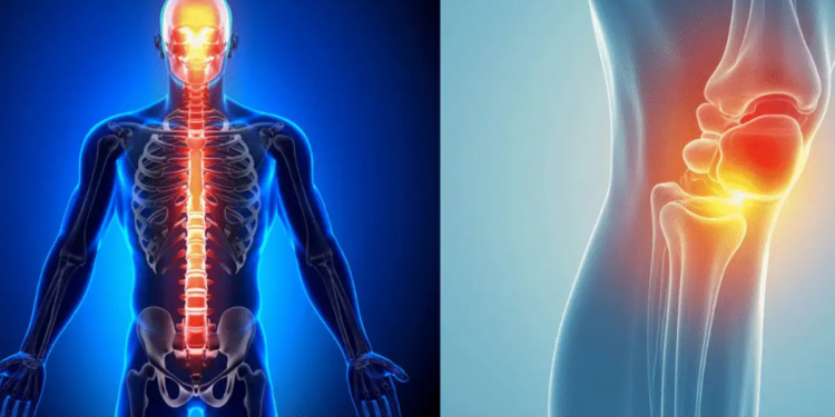 Bone Health Alert: जवानी में ही कमजोर हो रही हैं हड्डियां? इन फूड्स को तुरंत करें डाइट से बाहर, वरना&nbsp;कैल्शियम की हो जाएगी भारी कमी ​​​​​​​