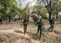 Chhattisgarh: DRG action in Tumalpad forest of Sukma, 3 Maoists killed