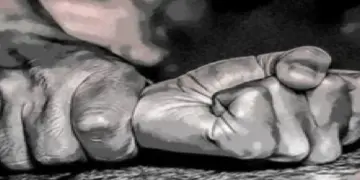 Coimbatore Gang Rape: Gang rape with college student in Coimbatore, Tamil Nadu, BJP cornered the ruling DMK, Bjp slams dmk govt of mk stalin as gang rape with college student happens in Coimbatore tamil nadu