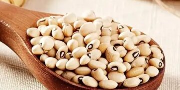 Cowpea is beneficial for heart and bones and also provides relief from problems like constipation and indigestion.