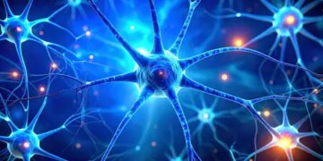 Dark chocolate and berries helpful in improving memory and reducing stress: Study
