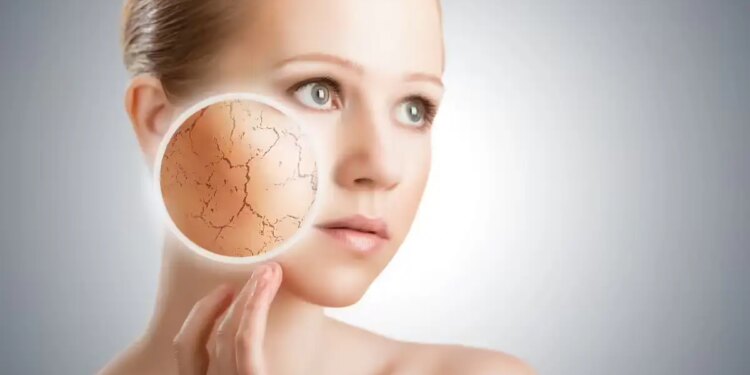 Dry Skin Remedies: सर्दियों में रूखी और खुजली वाली स्किन से चाहिए राहत? अपनाएं ये 5 असरदार घरेलू उपाय