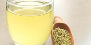 Fennel is not just a spice, it is a treasure of qualities, consuming it will give you countless benefits.
