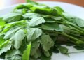 From intestines to joints, know how Bathua keeps the body fit?