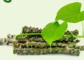 Giloy is helpful in fighting cancer by balancing the three doshas, ​​increases immunity.