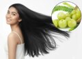 Hair Fall Solution: आंवला और एलोवेरा का ये देसी नुस्खा करेगा बालों को मजबूत, झड़ना होगा बंद! जानें सही तरीका
