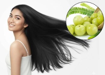 Hair Fall Solution: आंवला और एलोवेरा का ये देसी नुस्खा करेगा बालों को मजबूत, झड़ना होगा बंद! जानें सही तरीका