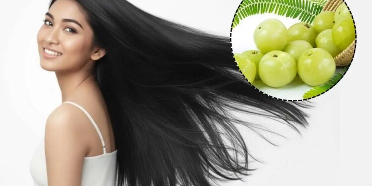 Hair Fall Solution: आंवला और एलोवेरा का ये देसी नुस्खा करेगा बालों को मजबूत, झड़ना होगा बंद! जानें सही तरीका