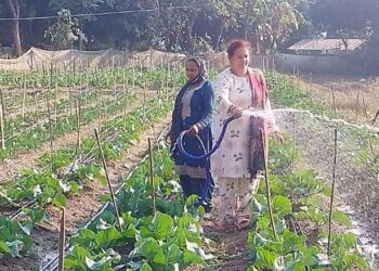 Him Krishi Yojana: An initiative giving new direction to the agricultural heritage of the mountains. Himachal is moving from traditional farming to modernity.