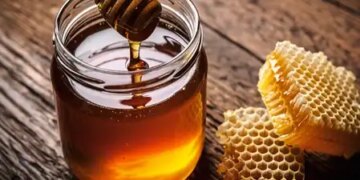Honey is 'Tridoshahar', correct consumption method can increase its medicinal properties.