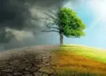 How Indian businesses can thrive amid the climate crisis