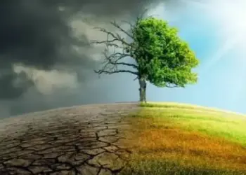 How Indian businesses can thrive amid the climate crisis