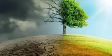 How Indian businesses can thrive amid the climate crisis