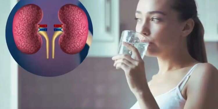 How can drinking too much water become a threat to the kidneys? Doctors told the limit beyond which serious harm occurs to the body.