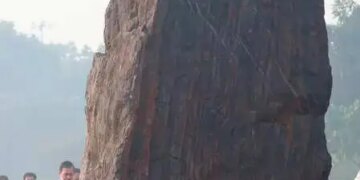 हर परिस्थिति में देशहित को प्रथम रखने की प्रेरणा मुझे दादी से ही मिली है: राहुल गांधी