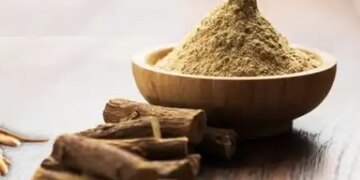 Mulethi is an easy solution to get rid of cough and sore throat in winter, immunity will be strengthened.