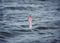 Muzaffarnagar: IITian girl jumped into Ganga barrage, was upset due to failure in UPSC