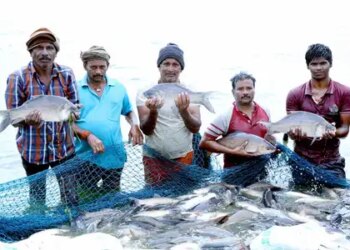 New EEZ rules will contribute significantly to increasing seafood exports