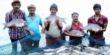 New EEZ rules will contribute significantly to increasing seafood exports
