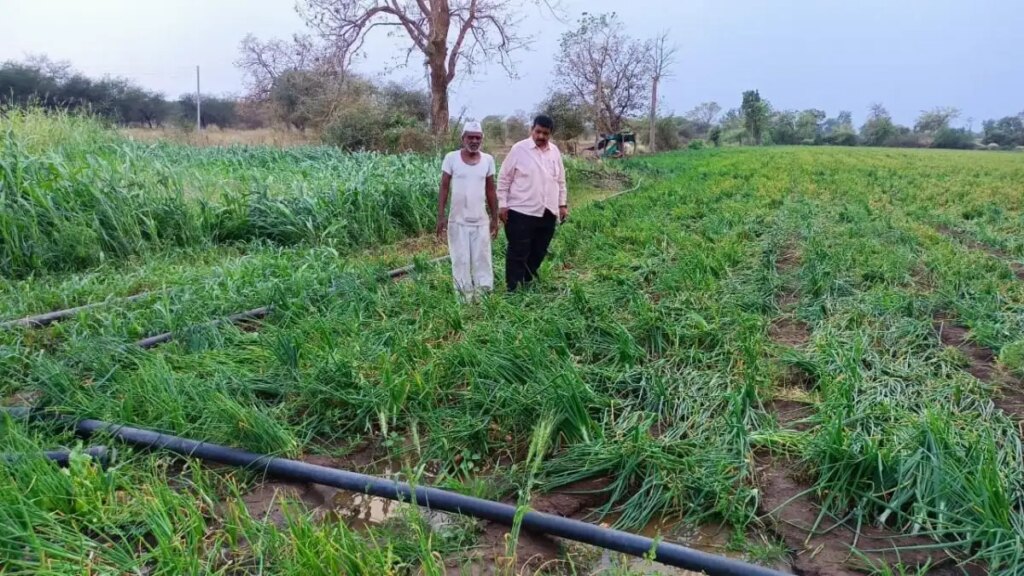 Relief package for farmers: Government will now compensate for crop loss due to wild animals, know quickly how to avail the benefits of this scheme?