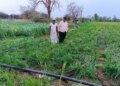 Relief package for farmers: Government will now compensate for crop loss due to wild animals, know quickly how to avail the benefits of this scheme?