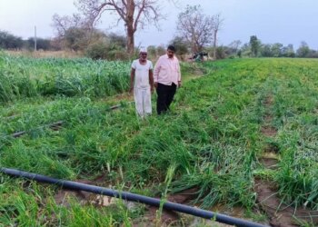 Relief package for farmers: Government will now compensate for crop loss due to wild animals, know quickly how to avail the benefits of this scheme?