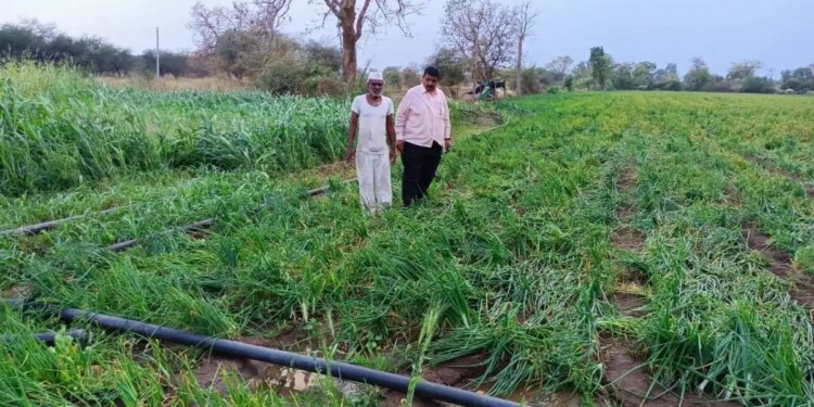 Relief package for farmers: Government will now compensate for crop loss due to wild animals, know quickly how to avail the benefits of this scheme?