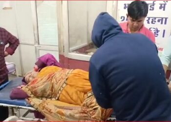 Speeding Eeco hits elderly woman, seriously injured