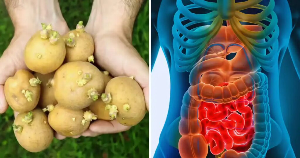 Sprouted potatoes are no less than a slow poison! Know why this is harmful for your health?