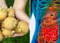 Sprouted potatoes are no less than a slow poison! Know why this is harmful for your health?
