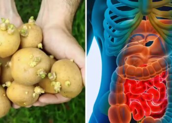 Sprouted potatoes are no less than a slow poison! Know why this is harmful for your health?