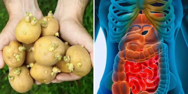 Sprouted potatoes are no less than a slow poison! Know why this is harmful for your health?
