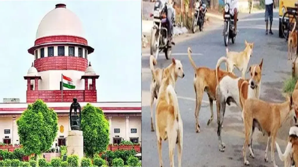 Supreme Court On Stray Dogs: Supreme Court will pronounce verdict on stray dogs matter on 7 November, gave this warning to the Chief Secretaries of the states, Supreme Court to pronounce verdict on stray dogs matter on 7 November 2025