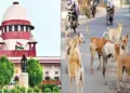 Supreme Court On Stray Dogs: Supreme Court will pronounce verdict on stray dogs matter on 7 November, gave this warning to the Chief Secretaries of the states, Supreme Court to pronounce verdict on stray dogs matter on 7 November 2025