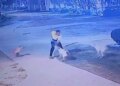 Terrible incident in Greater Noida! Dogesh gang attacks a person who was out for a walk, you will be shocked to see the viral video of the incident