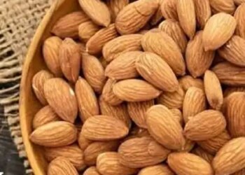There will be no need of brain tonic, almonds are enough for mental health.