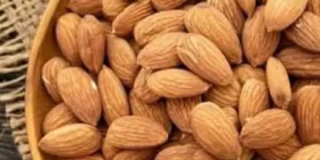 There will be no need of brain tonic, almonds are enough for mental health.