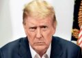 US lawmakers urge Donald Trump to reconsider H1-B visa move